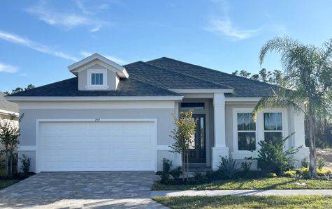 New construction Single-Family house 219 Hawthorn Ave, Palm Coast, FL 32164 Stafford- photo 0