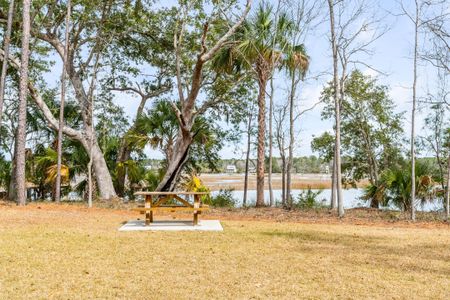 New construction Single-Family house 3554 Clambank Dr, Mount Pleasant, SC 29466 King- photo 65 65