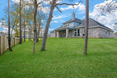 Mostyn Manor Reserve by Harrisburg Homes in Magnolia - photo 3 3