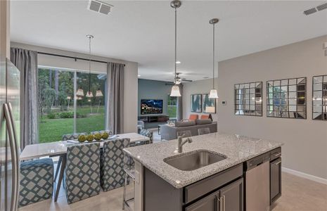 Cypress Park Estates by Dream Finders Homes in Haines City - photo 36 36