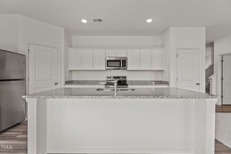 New construction Single-Family house 19 Rolling Banks Dr, Louisburg, NC 27549 Radiance- photo 1 1