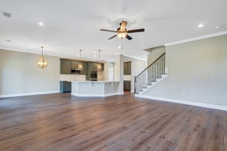 New construction Single-Family house 51 Hanover Pl, Richmond Hill, GA 31324 plan Hilton - image 9