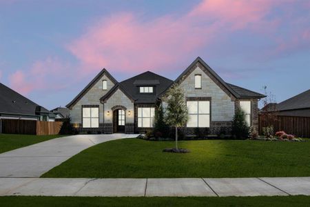 New construction Single-Family house 224 Pine Leaf Trl, Waxahachie, TX 75165 plan Concept 2370 - image