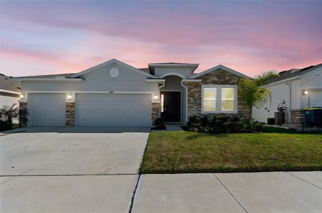 New construction Single-Family house 9882 Shoreline View Wy, Wesley Chapel, FL 33545 - image