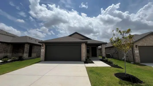 New construction Single-Family house 528 Red Admiral Ln, Ponder, TX 76259 plan Amber - image