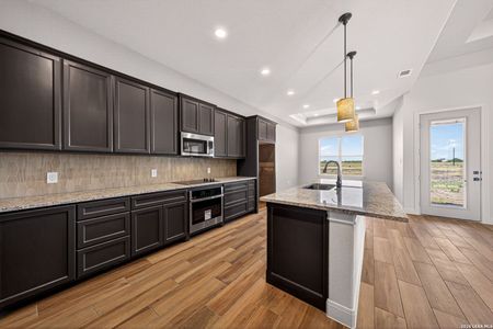 New construction Single-Family house 131 John T Ct, Castroville, TX 78009 - image 11