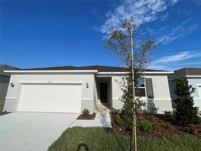 New construction Single-Family house 20044 Azul Marble Loop, Land O' Lakes, FL 34638 - photo 0