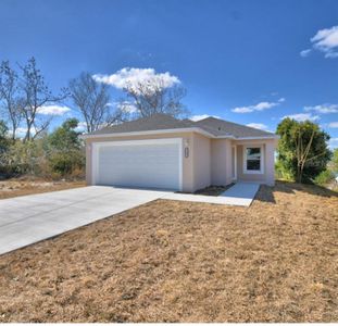 New construction Single-Family house 125 Northside Dr, Lake Wales, FL 33853 - image