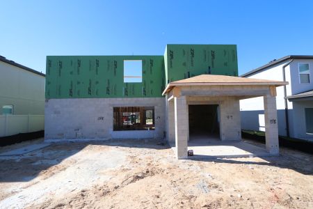 New construction Single-Family house 12252 Hilltop Farms Dr, Dade City, FL 33525 Cabo- photo 15 15