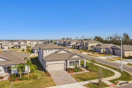 New construction Single-Family house 38471 Barrel Dr, Dade City, FL 33525 Picasso Bonus- photo 90 90