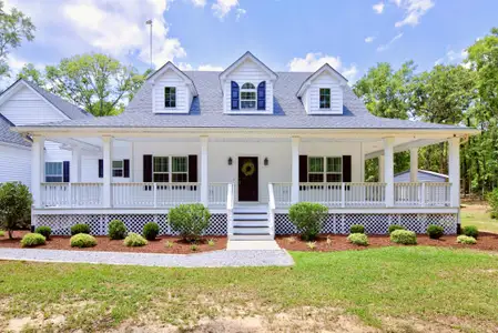 New construction Single-Family house 315 Griffith Ln, Elloree, SC 29047 - image