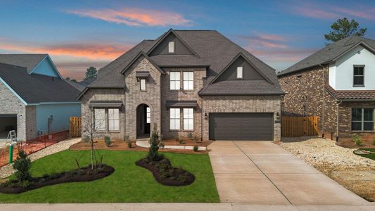 New construction Single-Family house 41738 Wendele Wy, Montgomery, TX 77316 plan Richwood - image