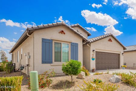 New construction Single-Family house 5781 N Coyote Hill Rd, Eloy, AZ 85131 - image 19
