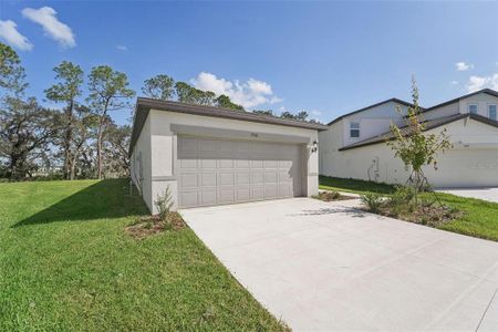 New construction Single-Family house 7358 Boggy Creek Pl, Parrish, FL 34219 null- photo 0