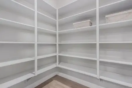 New construction Single-Family house 21025 E Diana Wy, Queen Creek, AZ 85142 plan Dolca - image 16