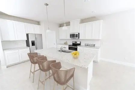 New construction Single-Family house 6712 Cedar Landing Cir, Leesburg, FL 34748 plan Amelia - image