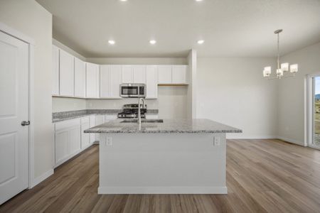 New construction Single-Family house 9289 Golden Buffs Dr, Colorado Springs, CO 80925 plan Sage - image 12
