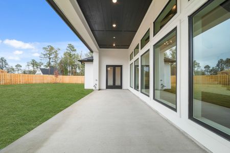 New construction Single-Family house 41702 Lays Ct, Todd Mission, TX 77316 - image 3