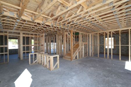 New construction Single-Family house 2350 Clary Sage Dr, Spring Hill, FL 34609 Sonoma II- photo 30 30