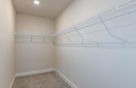 Spacious Owner's Walk-In Closet