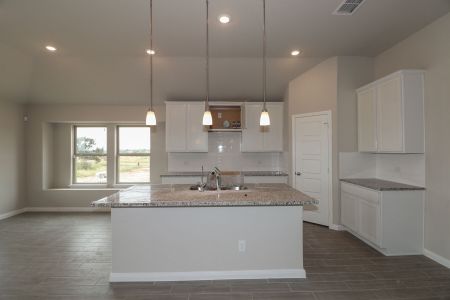 New construction Single-Family house 104 Cheyenne Dr, Floresville, TX 78114 Esparanza- photo 48 48