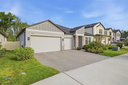 New construction Single-Family house 9845 Sword Fern Wy, Land O' Lakes, FL 34637 - image