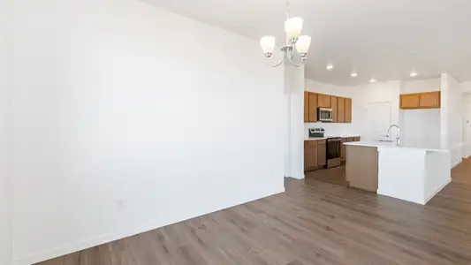 New construction Single-Family house 1454 Boyle St, Windsor, CO 80550 plan Charleston - image 17
