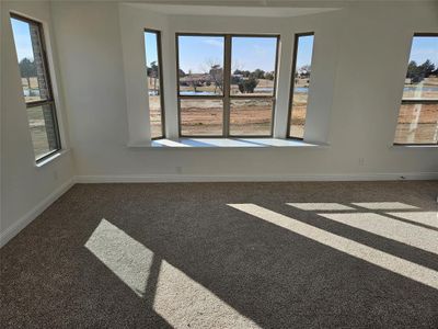 New construction Single-Family house 385 Willie'S Ct, Whitesboro, TX 76273 - image 17