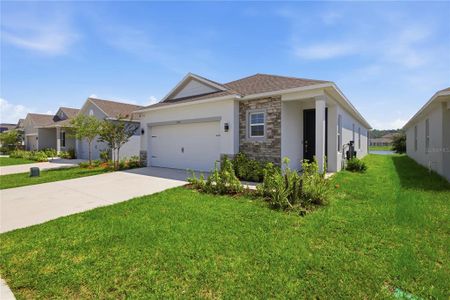 New construction Single-Family house 3963 Sagefield Dr, Harmony, FL 34773 - image