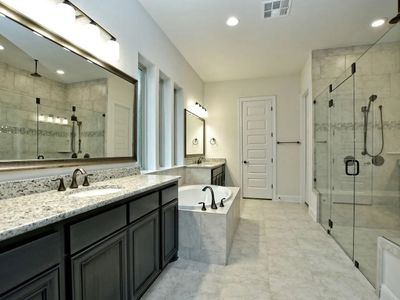 New construction Single-Family house 209 Bold Sundown, Liberty Hill, TX 78642 plan Carmel - image 5