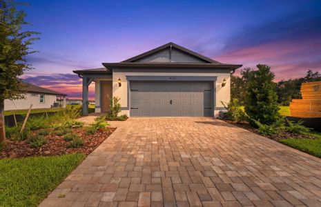 New construction Single-Family house 14753 Sunlit Cir, Parrish, FL 34219 plan Hallmark - image