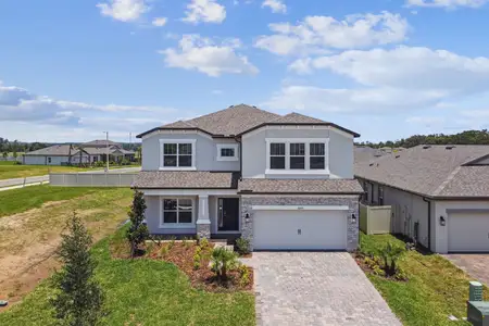 New construction Single-Family house 38401 Tobiano Loop, Dade City, FL 33525 plan Alenza - image
