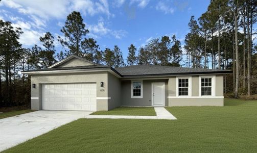 New construction Single-Family house 1575 W Lamplighter St, Citrus Springs, FL 34434 - image