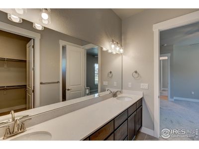 New construction Townhouse house 6235 Vernazza Way, Unit 4, Windsor, CO 80550 Duxbury- photo 21 21