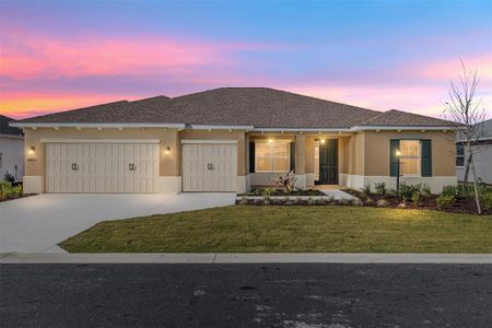 New construction Single-Family house 10023 Sw 106Th Cir, Ocala, FL 34481 - image
