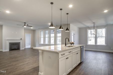 New construction Single-Family house 388 W Amber Oak Drive, Unit 54, Selma, NC 27576 Bradley - photo 22 22