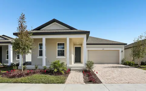 New construction Single-Family house 2597 Broadwing St, Kissimmee, FL 34746 plan Plant - image