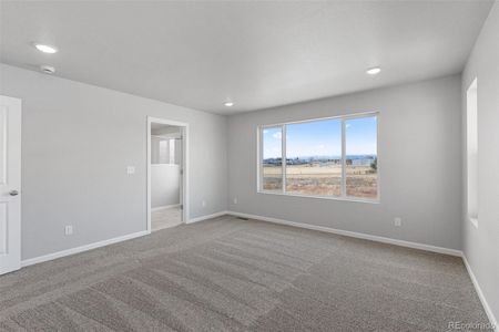 New construction Single-Family house 16953 Ballinger Cir, Mead, CO 80542 plan Keystone II - image 19