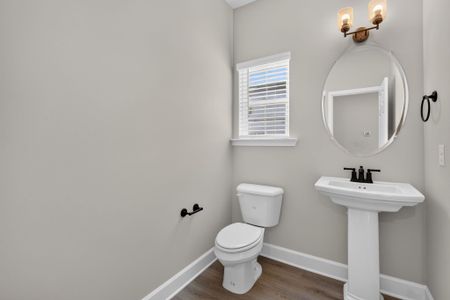 New construction Single-Family house 245 James Dr, Richmond Hill, GA 31324 plan Oscar Mulberry - image 13