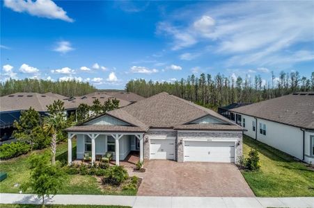 New construction Single-Family house 18636 Sailors Delight Pass, Land O' Lakes, FL 34638 null- photo 2 2