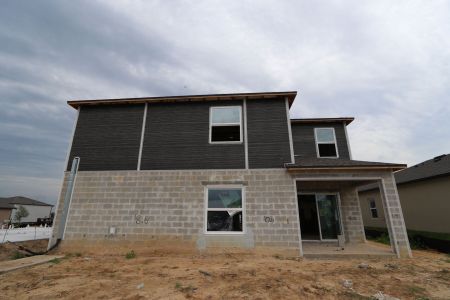 New construction Single-Family house 12219 Hilltop Farms Dr, Dade City, FL 33525 Malibu- photo 51 51