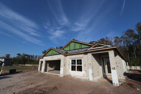 New construction Single-Family house 20339 Oriana Loop, Land O' Lakes, FL 34638 Newport II- photo 14 14