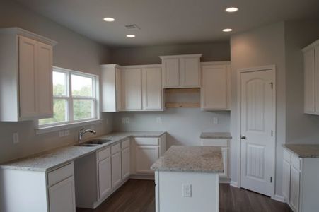 New construction Single-Family house 3844 Ball Ground Hwy, Canton, GA 30114 plan Mayfield - image 5