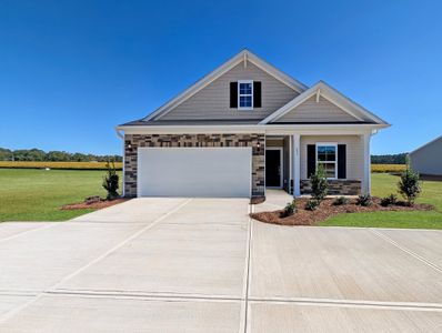 New construction Single-Family house 299 Thomas Trl, Lillington, NC 27546 plan Ford - image