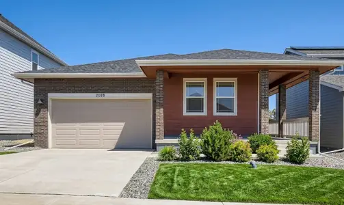 New construction Single-Family house 1814 Baltusrol Dr, Fort Collins, CO 80524 plan Newport - image