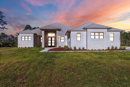 New construction Single-Family house 4380 W Malaluka Cir, Citrus Springs, FL 34433 - image
