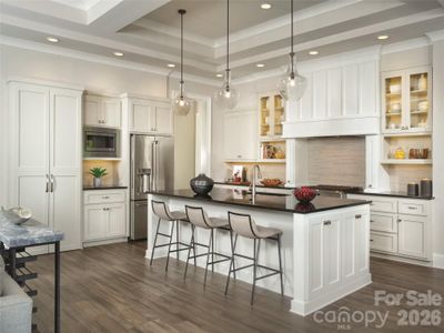 New construction Single-Family house 142 Elkton Ct, Mill Spring, NC 28756 - image 3