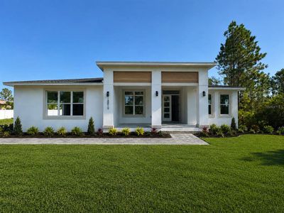 New construction Single-Family house 18891 Netherland St, Orlando, FL 32822 - image