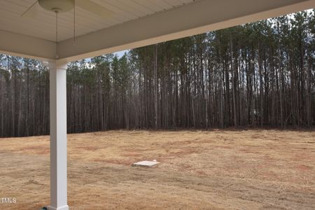 New construction Single-Family house 70 Accord Dr, Youngsville, NC 27596 Warwick- photo 34 34