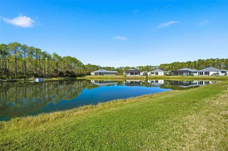 New construction Single-Family house 245 Hawthorn Ave, Palm Coast, FL 32164 plan Canterbury - image 15